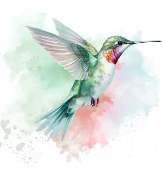 Colibri aquarelle - écoute échange - kinésiologie kinésiologue Massages crâniens cranio sacré Belfort Valdoie Chaux Giromagny