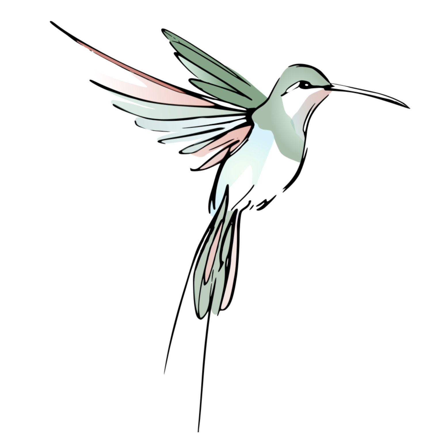 Colibri logo vert rose bleu kinésiologie kinésiologue Massages crâniens Belfort Valdoie Chaux Giromagny