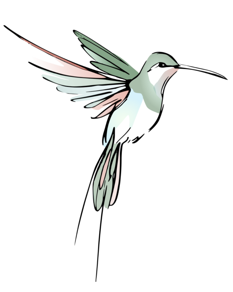 Cécile Dubuisson - Kinésiologie massages cranio sacré - colibri logo